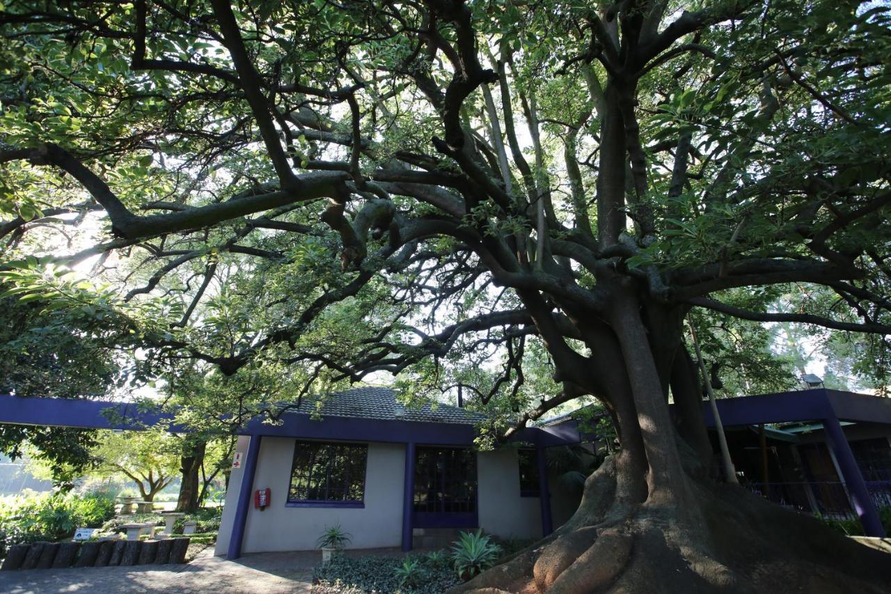 Hotel Big Tree Midrand Esterno foto